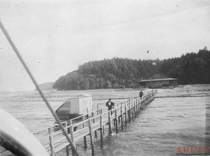 Fil:B33198 løveodde.jpg